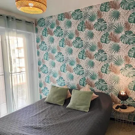 And Comfort For 2 In The Centre Saint-Raphael (Var)